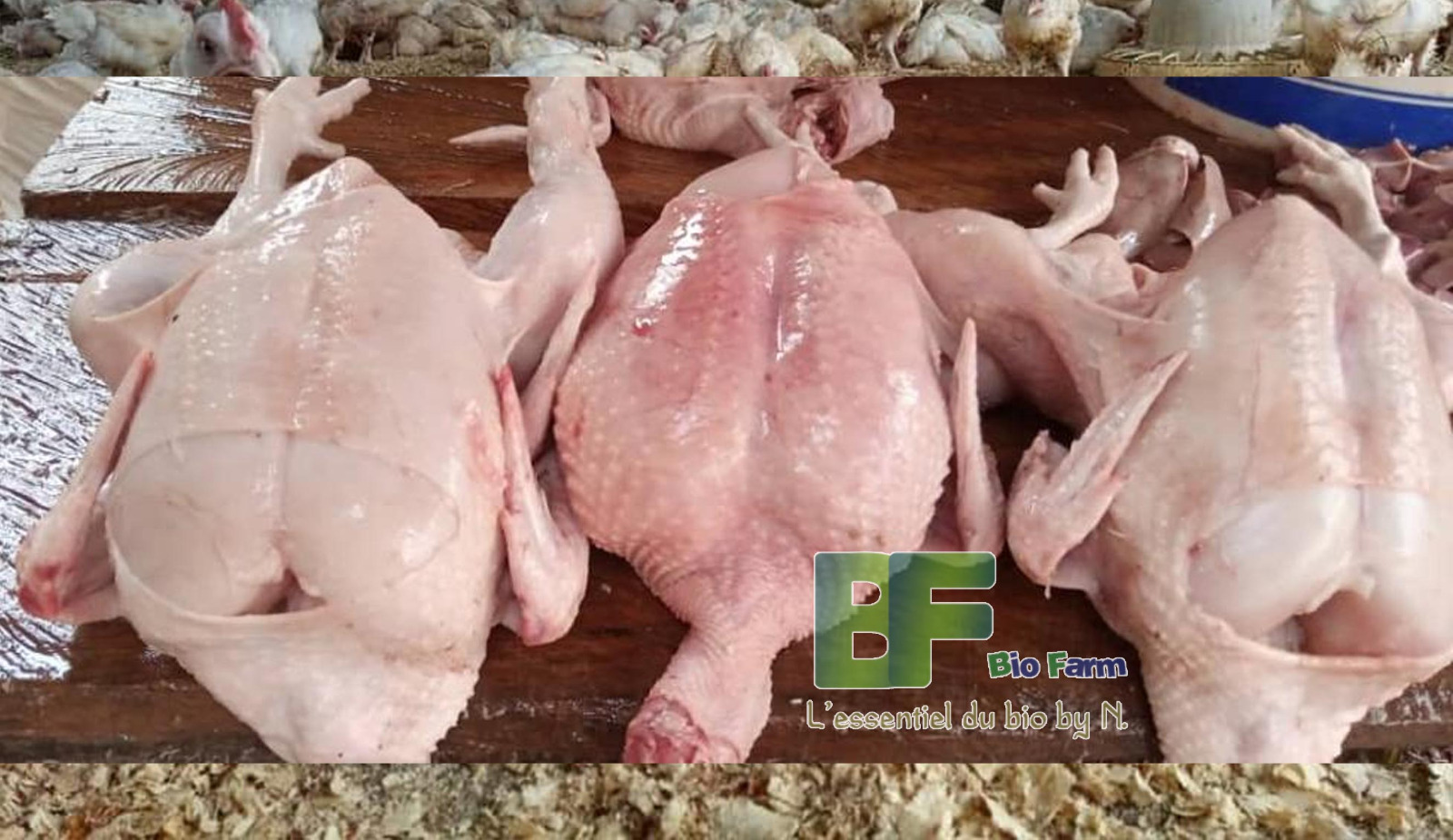 Poulet prêt à cuire